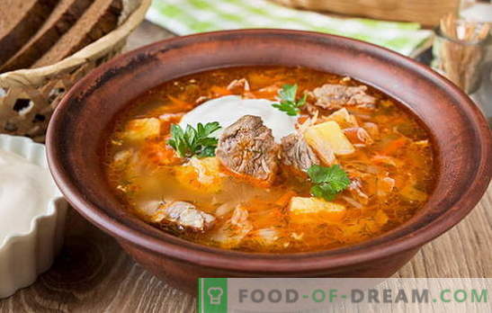 Supă de varză proaspătă - 10 cele mai bune rețete. Supă de varză proaspătă cu carne de vită, pui, carne de porc, carne afumată, fasole