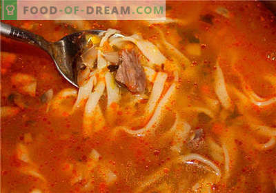 Zupa z rosołu wołowego - najlepsze przepisy. Jak prawidłowo i smacznie gotować zupę na bulionie wołowym.
