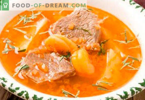 Veiseliha supp - parimad retseptid. Kuidas õigesti ja maitsev kokk supp veiseliha.