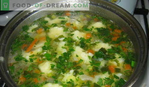 Zupa Dumpling - najlepsze przepisy. Jak prawidłowo i smacznie gotować zupę z kluseczkami.
