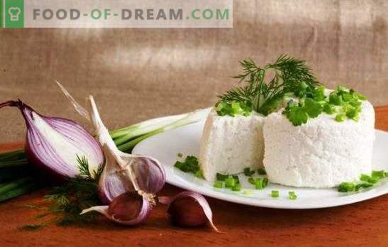Ser z koziego mleka jest zdrowym produktem. Jakie potrawy można przygotować przy użyciu koziego sera?