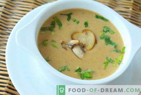 Zupa grzybowa - najlepsze przepisy. Jak prawidłowo i smacznie gotować zupę grzybową.