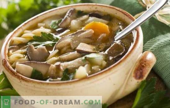 Zupa grzybowa z borowikami - najbardziej ulubiona! Przepisy zupy grzybowej z borowikami: śmietana, makaron, jęczmień, bekon