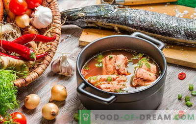Gotowanie zupy rybnej to delikatna sprawa! Jak gotować zupę rybną z rzeki lub czerwoną rybę, jęczmień, proso, konserwy, krewetki, pomidory