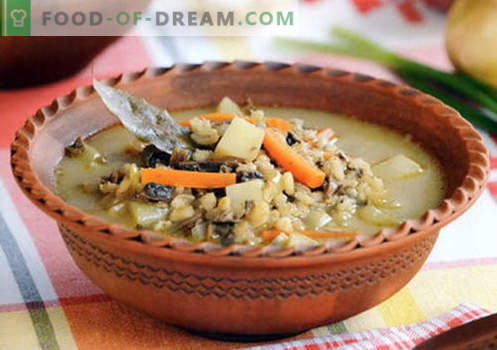 Zupa jęczmienna - sprawdzone przepisy. Jak prawidłowo i smacznie gotować zupę z jęczmienia.