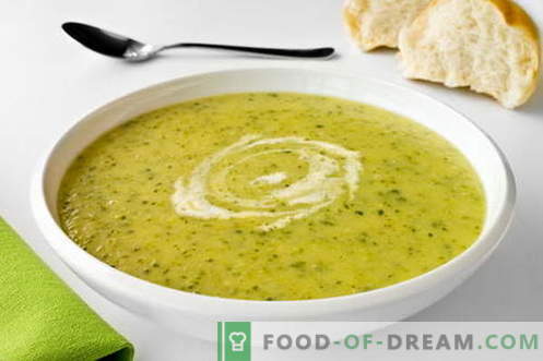 Zupa z cukinii - najlepsze przepisy. Jak prawidłowo i smacznie gotować zupy z cukinii.