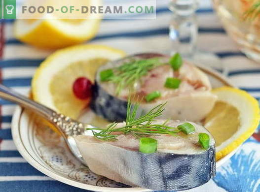 Marynowana makrela - najlepsze przepisy. Jak marynować makrele w domu.