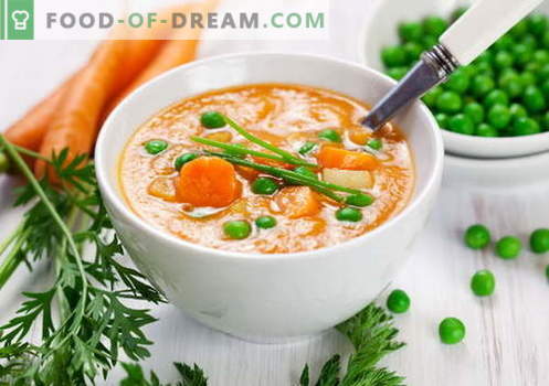 Zupa puree - najlepsze przepisy. Jak właściwie i pysznie gotować zupy puree.