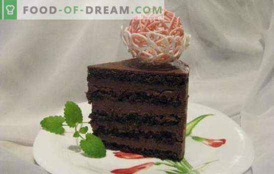 Biszkopt czekoladowy - wyjątkowy deser! Przepisy na delikatne i zawsze pyszne czekoladowe ciastka biszkoptowe