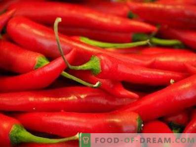 Chili Pepper: Benefit and Harm