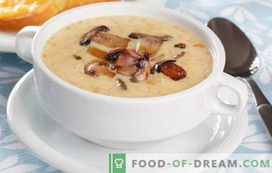 Krem zupy grzybowej - szaleństwo smaków i aromatów! Wybór przepisów na różnorodne zupy grzybowe na każdy dzień